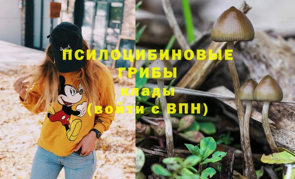 метадон Инта
