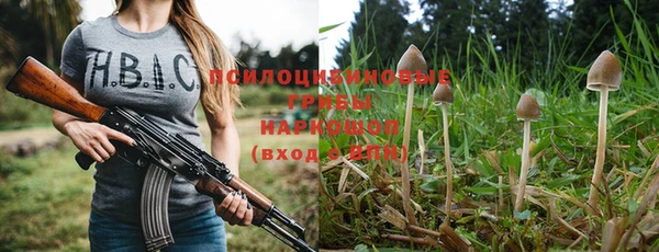 метадон Инта