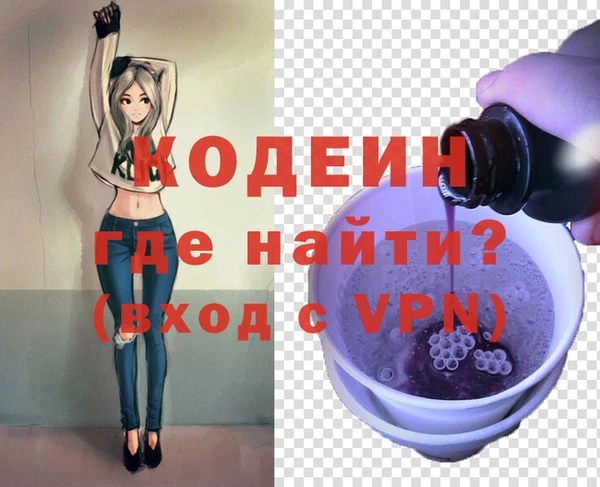 метадон Инта