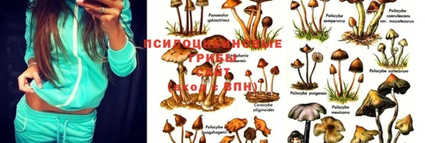 мефедрон мука Иннополис