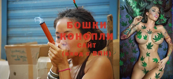 метадон Инта